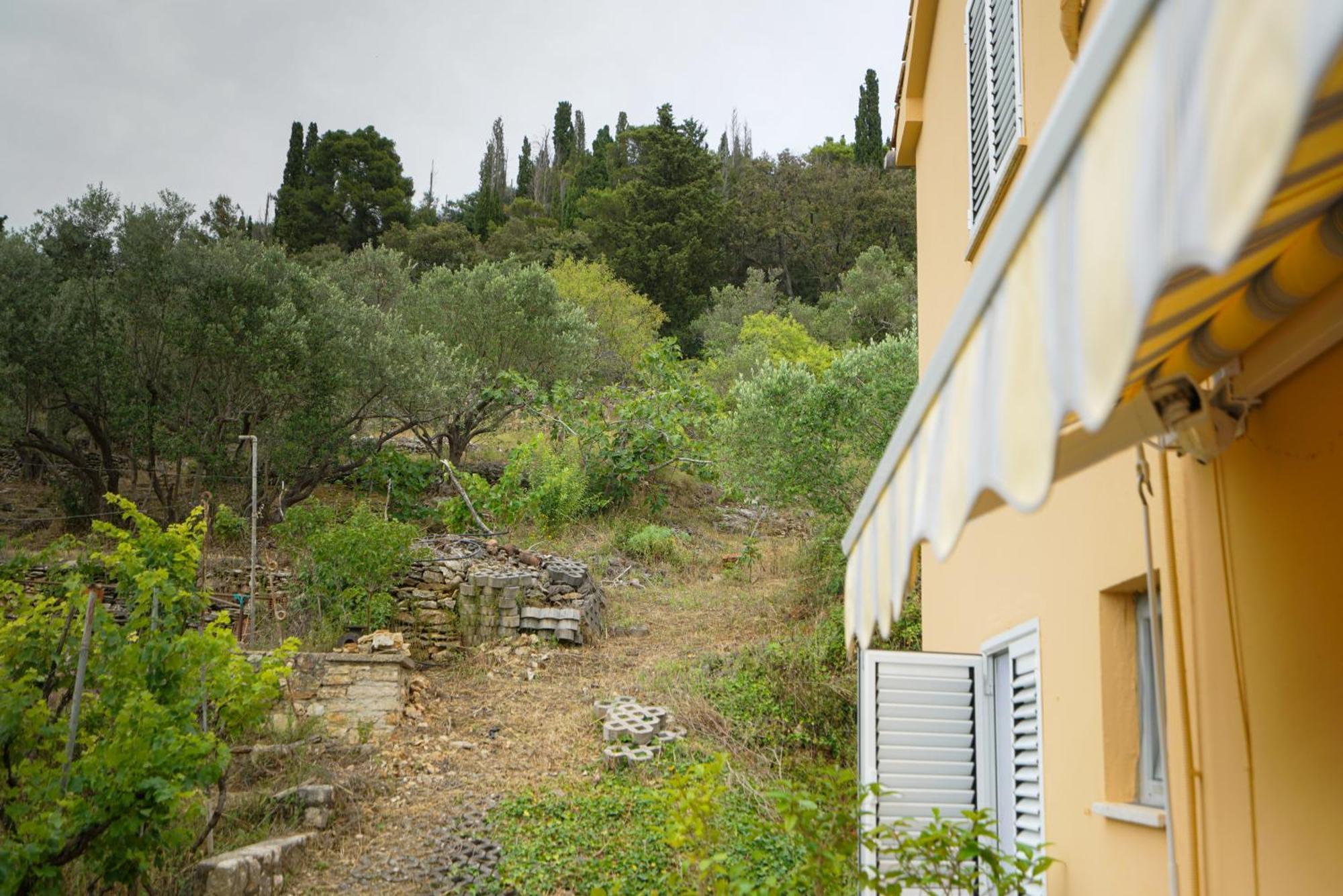 Apartments Osljak بريكو المظهر الخارجي الصورة