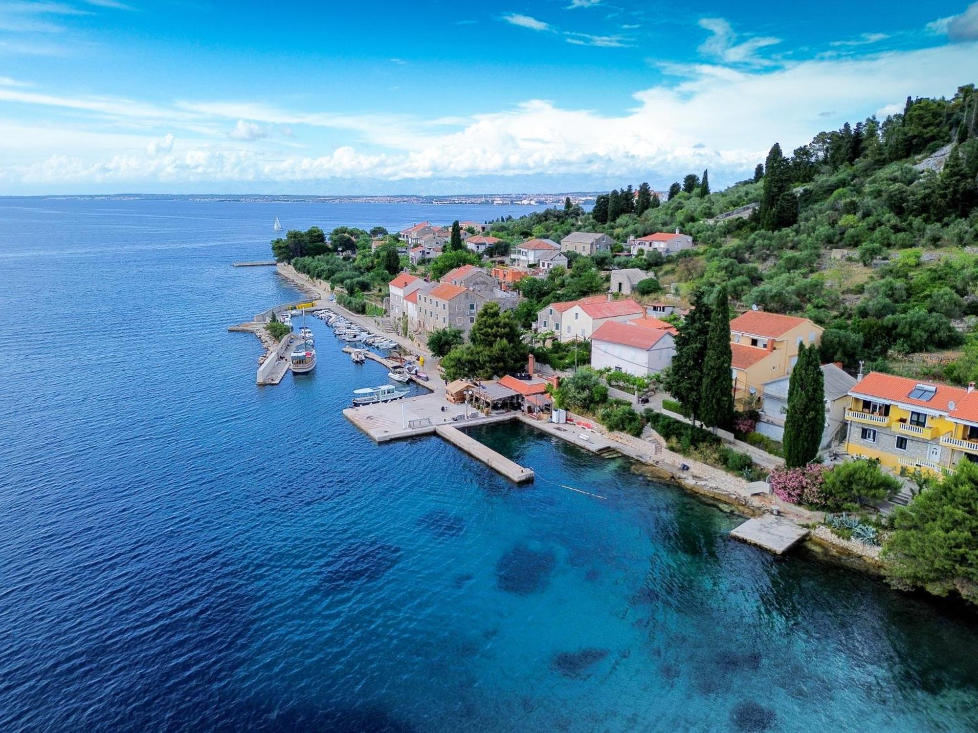 Apartments Osljak بريكو المظهر الخارجي الصورة